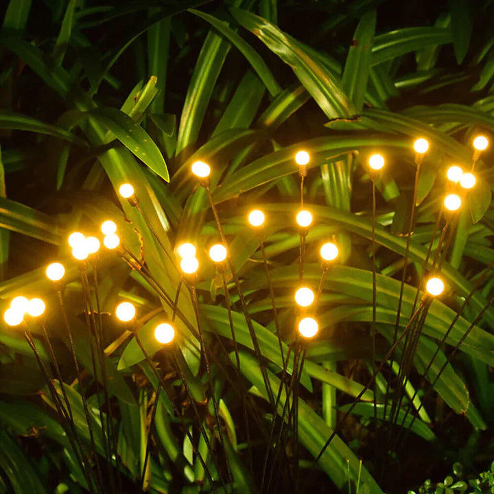 Kohzi Firefly Lights